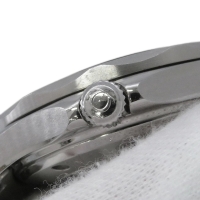 Replica Omega Seamaster Professional Blue Face (300204CH)