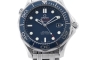 Replica Omega Seamaster Professional Blue Face (300204CH)